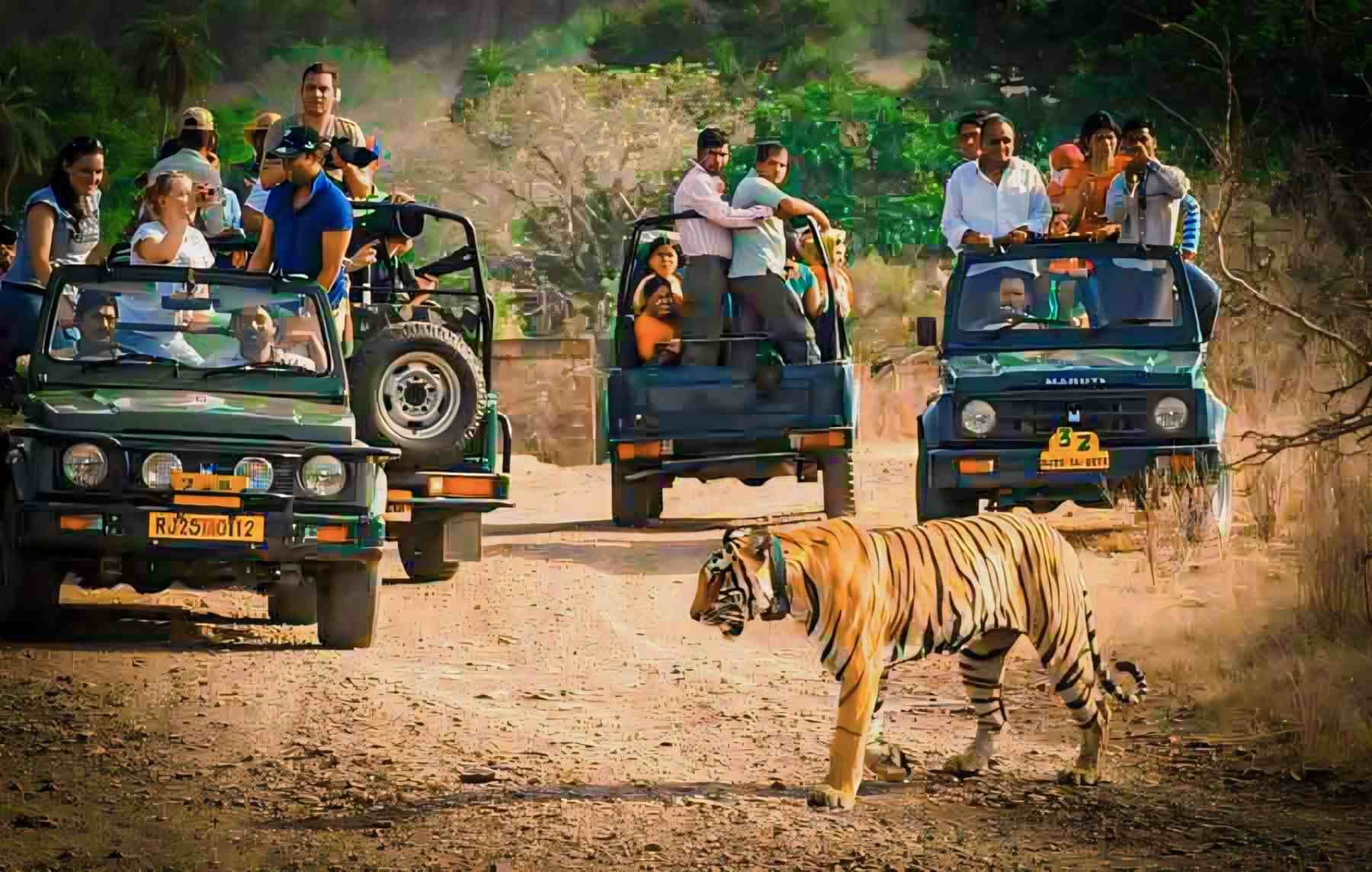 Ranthambore jeep safari