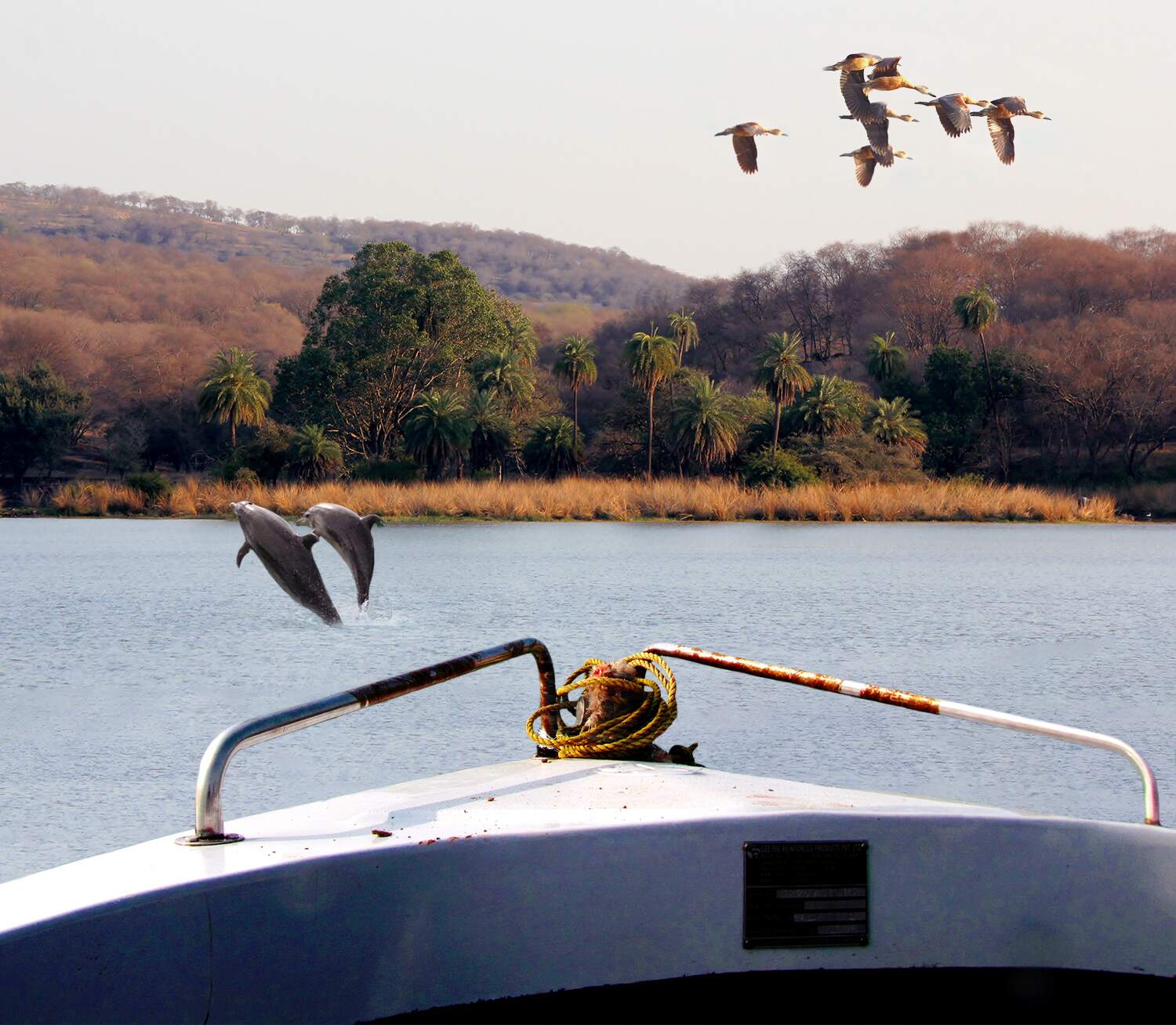 Flock of birds flying over a river