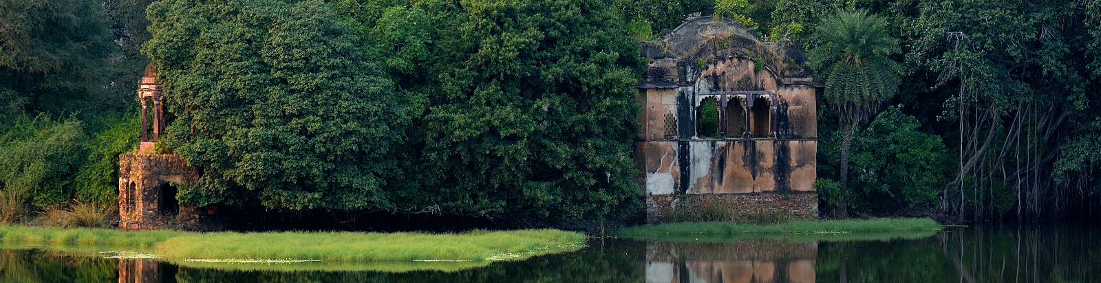 Raj Bagh ruins among trees in the park