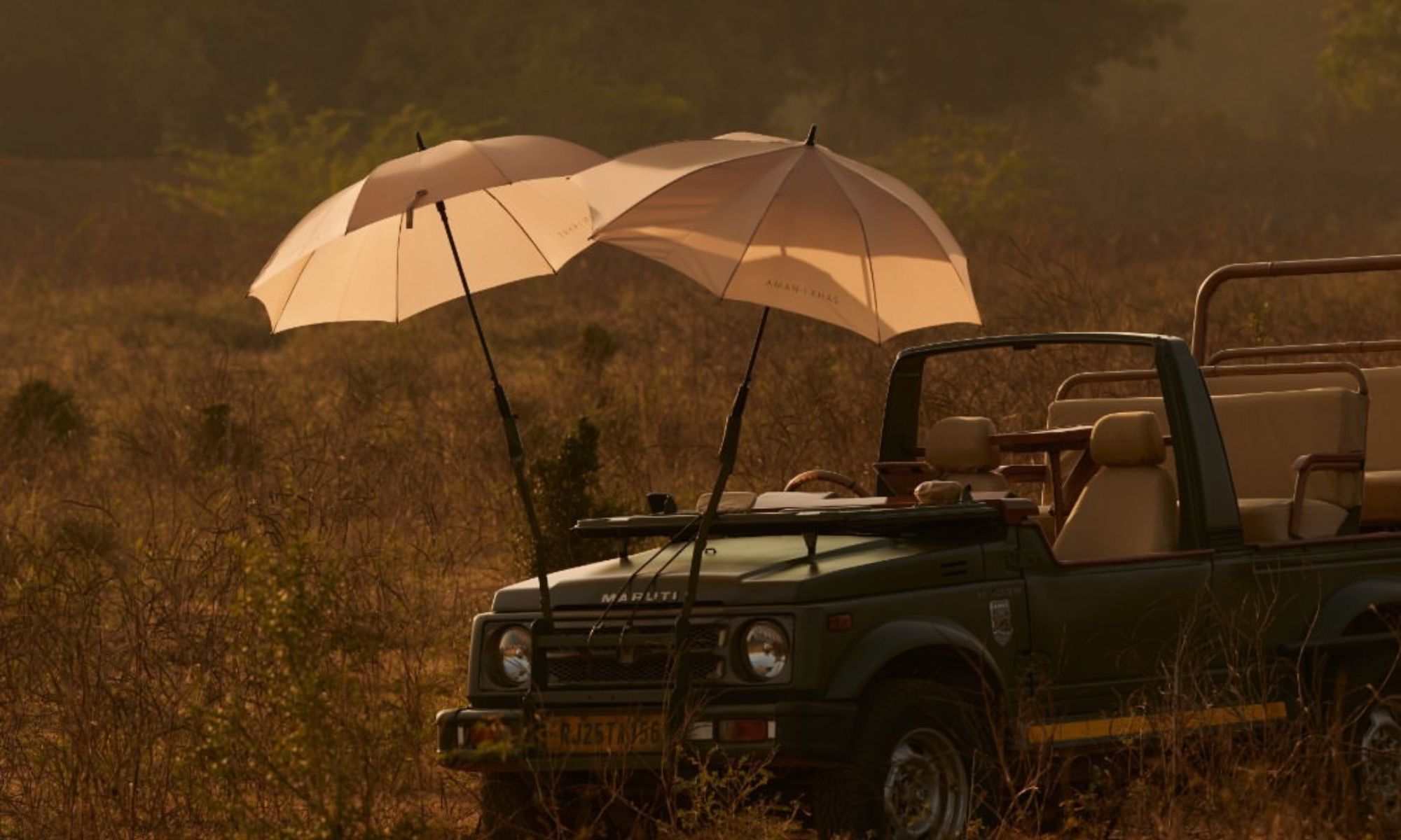 ranthambore national park tours